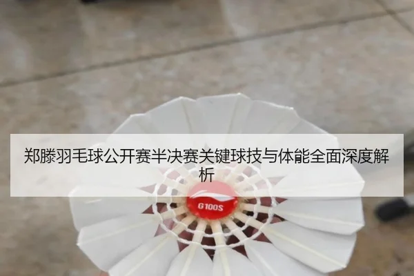 郑滕羽毛球公开赛半决赛关键球技与体能全面深度解析